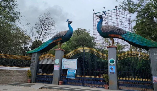 Featured Image of KBR National Park